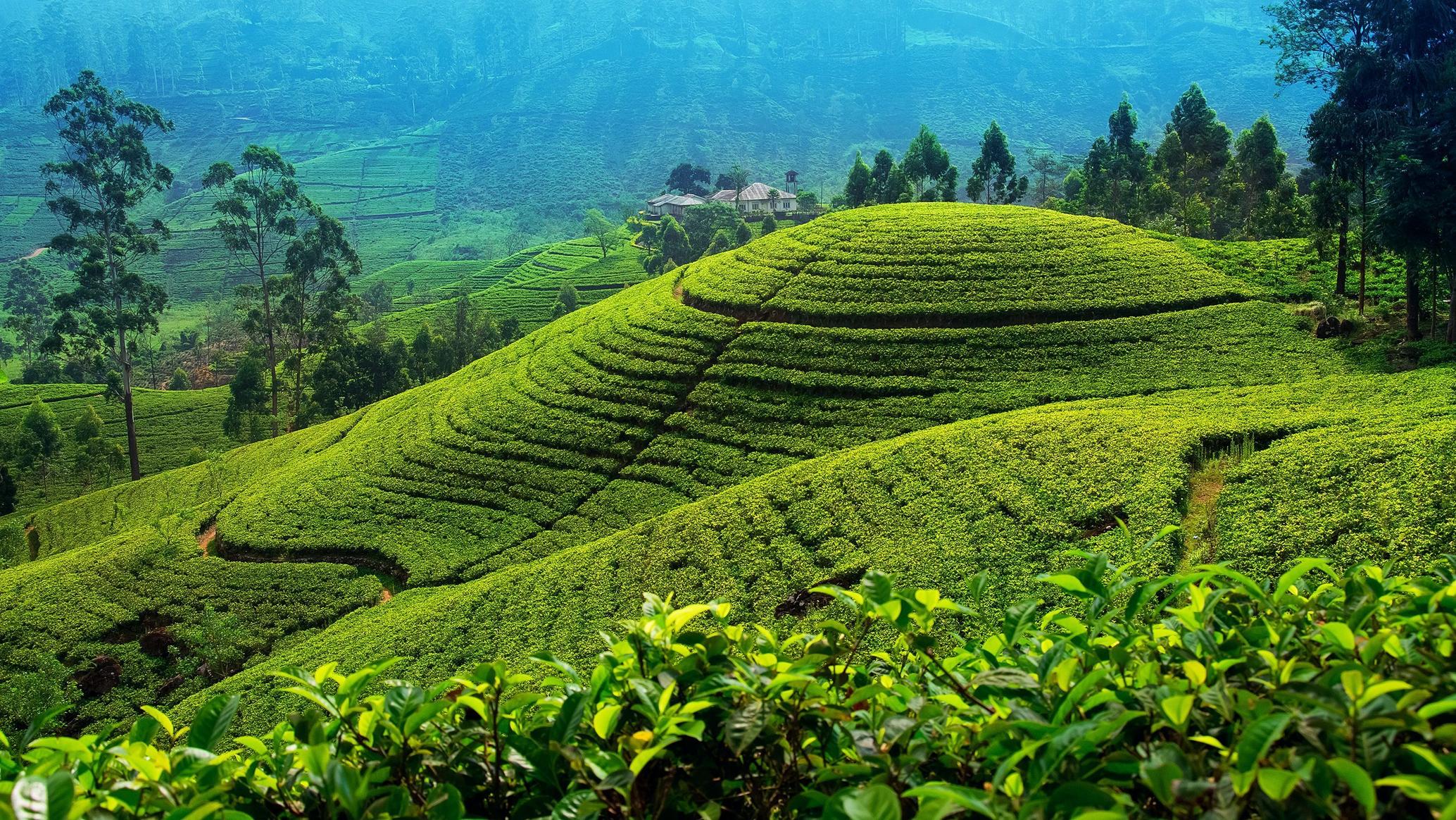 Hills, Wildlife & Southern Coast