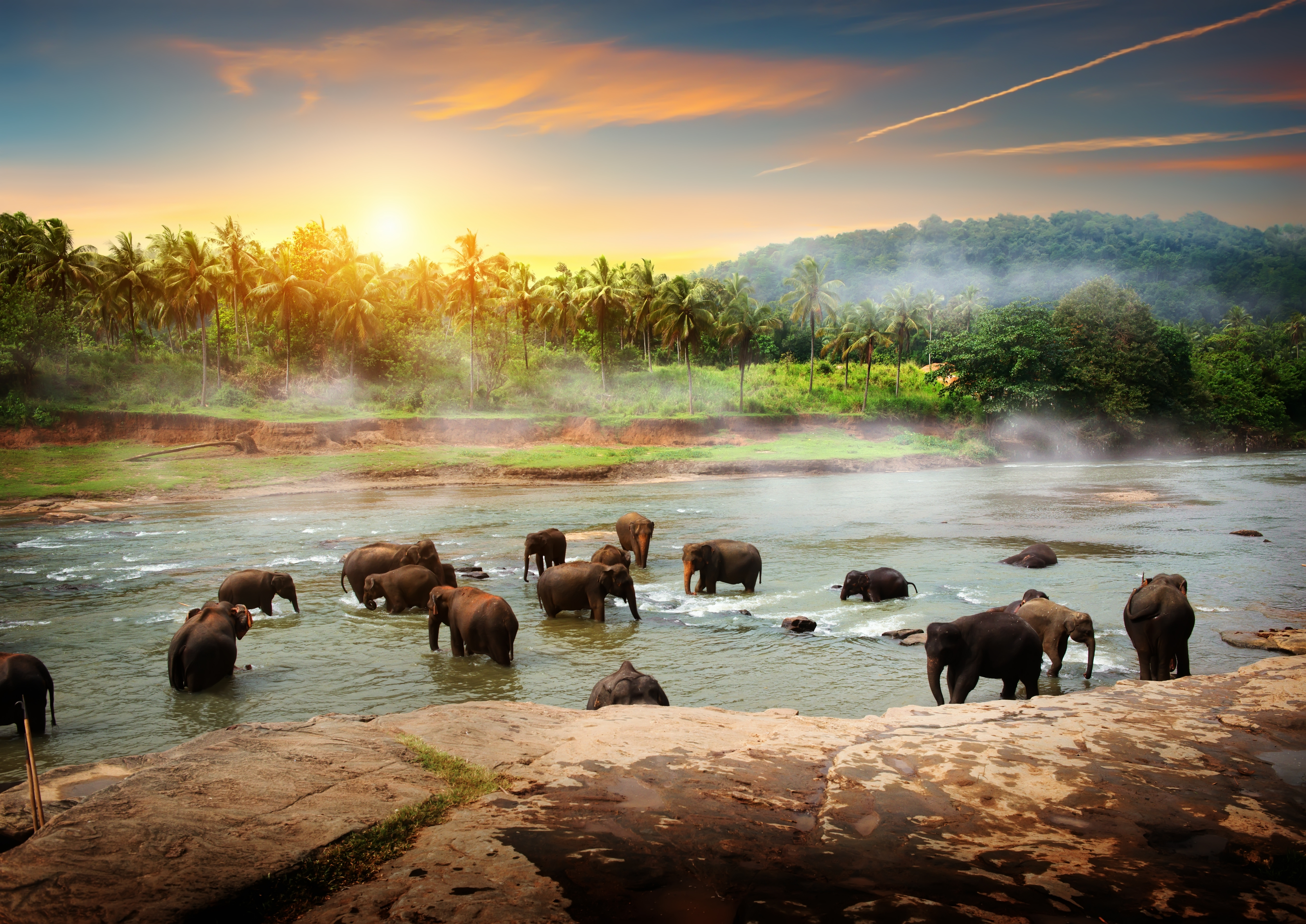 Sri Lanka Cultural Highlights
