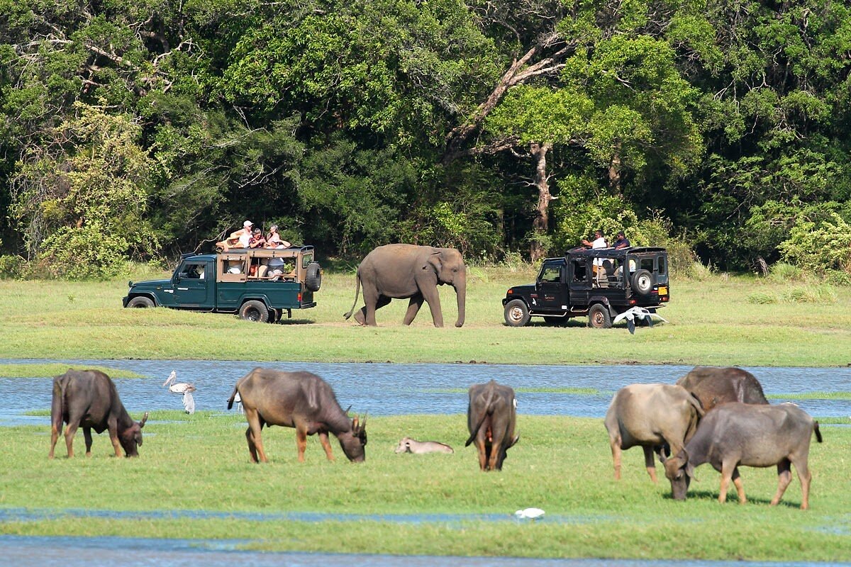 Sri Lanka Grand Discovery